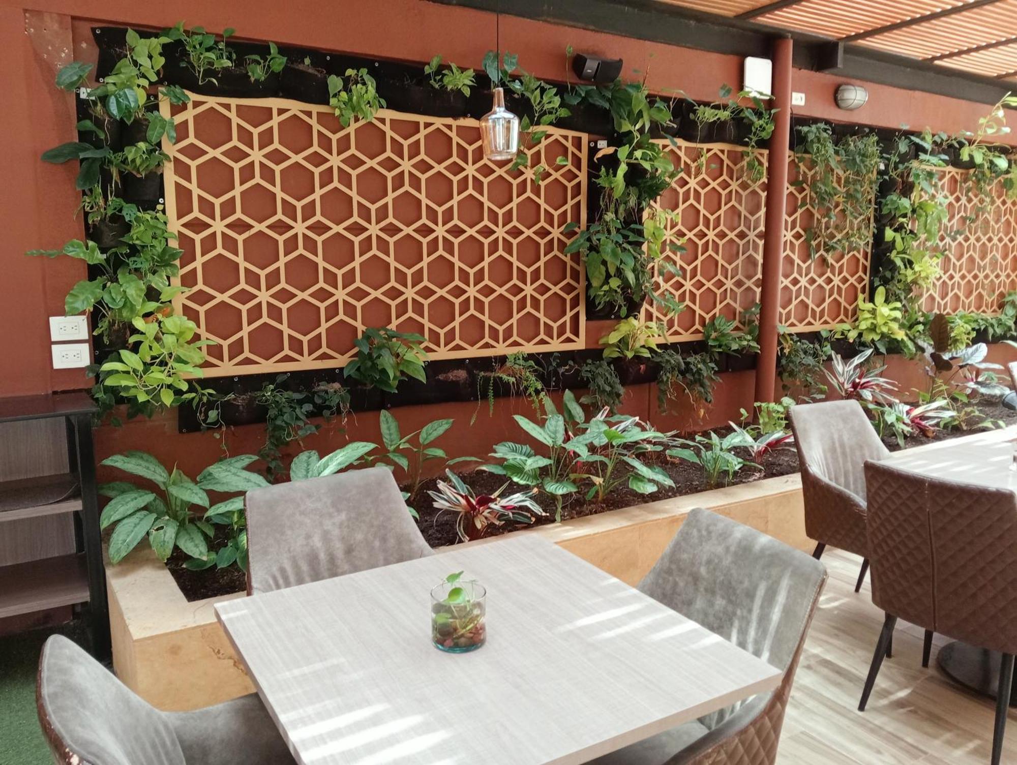 Hotel Lomas 10 Medellin By Dico エクステリア 写真